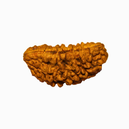 42-scaled-1.jpg