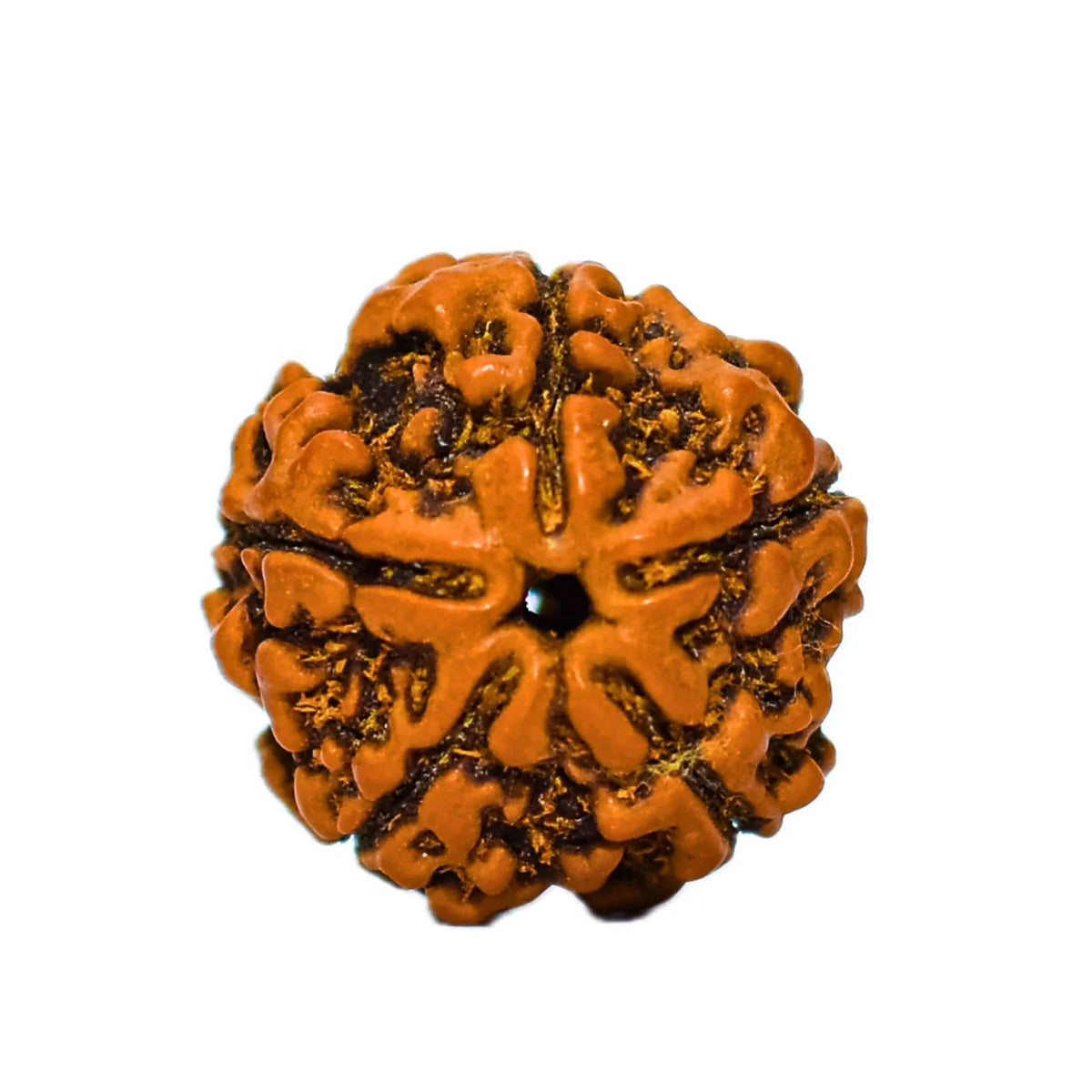 47-scaled-1.jpg