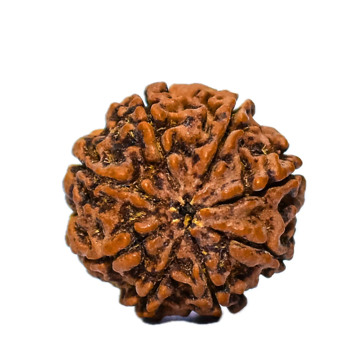 49-scaled-1.jpg