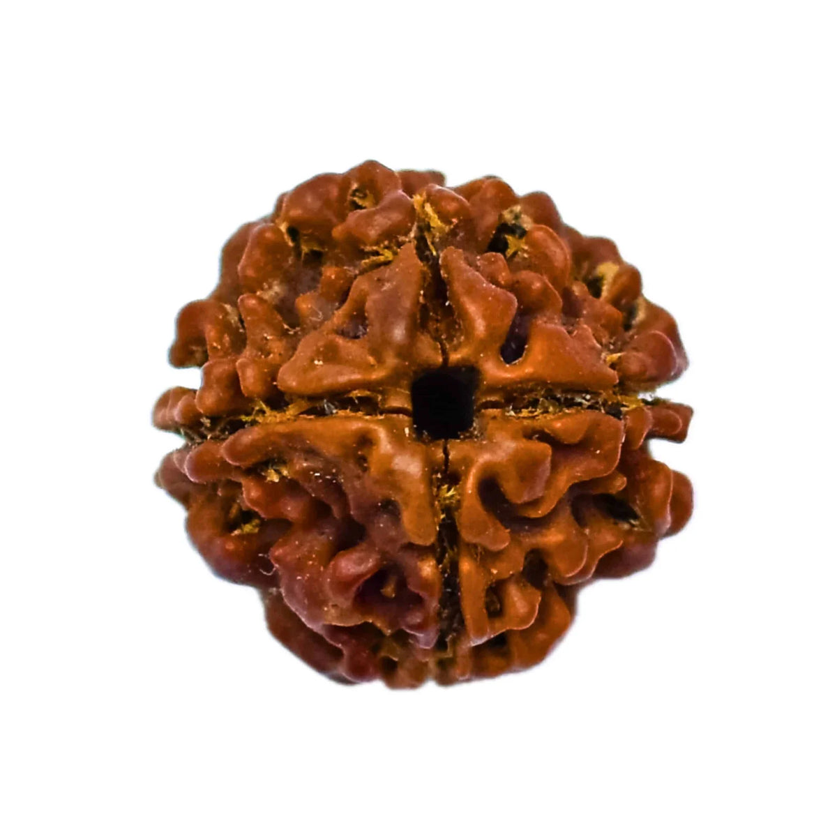 45-scaled-1.jpg