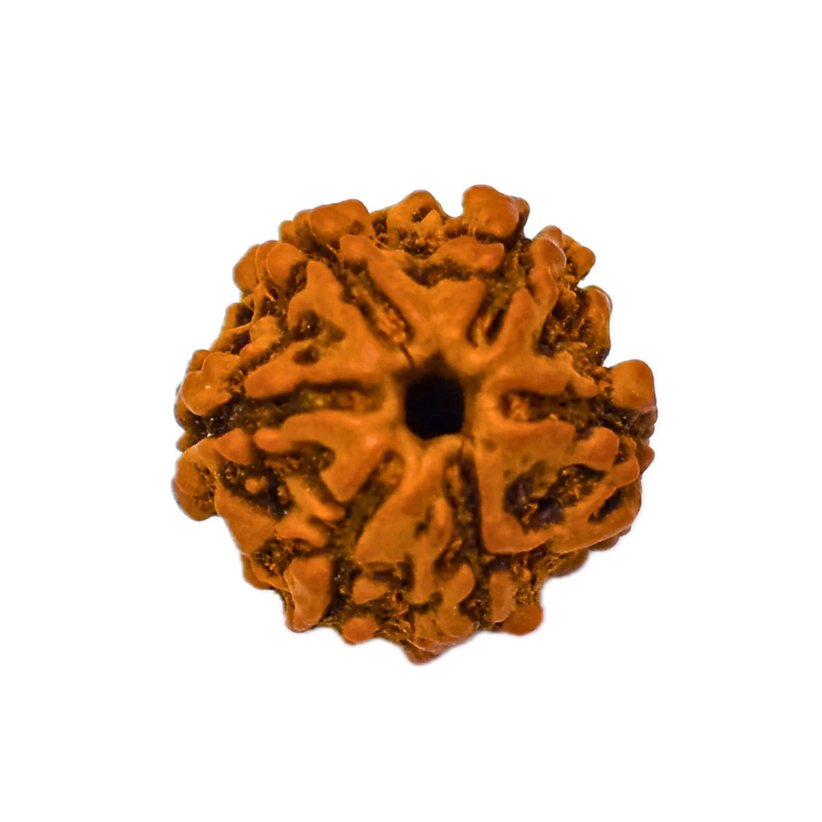 46-scaled-1.jpg