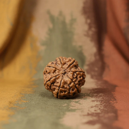 7-Mukhi-Rudraksha-–-Natural-Bead-for-Wealth-and-Prosperity-edited_3-1.png