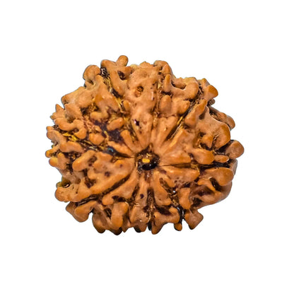 50-scaled-1.jpg