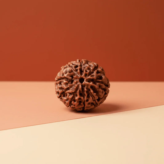 9-Mukhi-Rudraksha-–-Certified-Rudraksha-for-Energy-and-Protection-edited_3-1.png