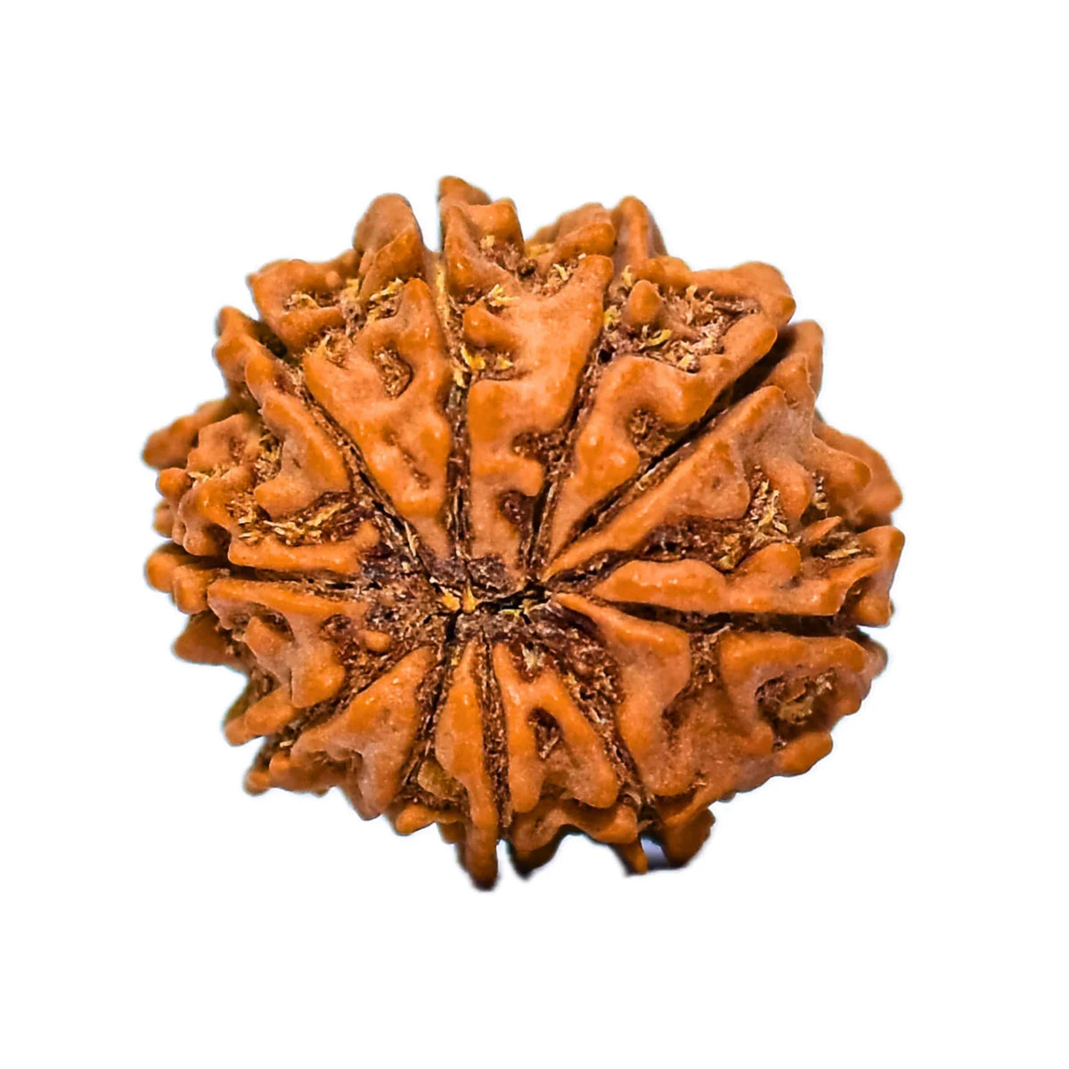 51-scaled-1.jpg