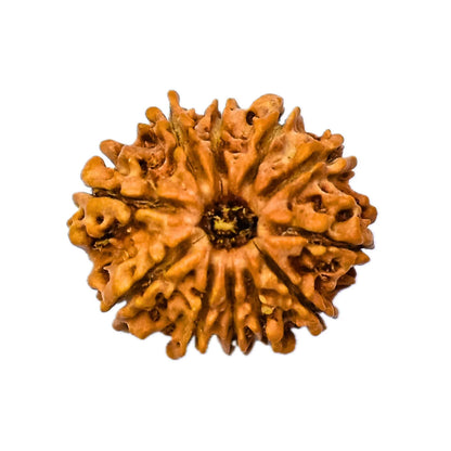 52-scaled-1.jpg