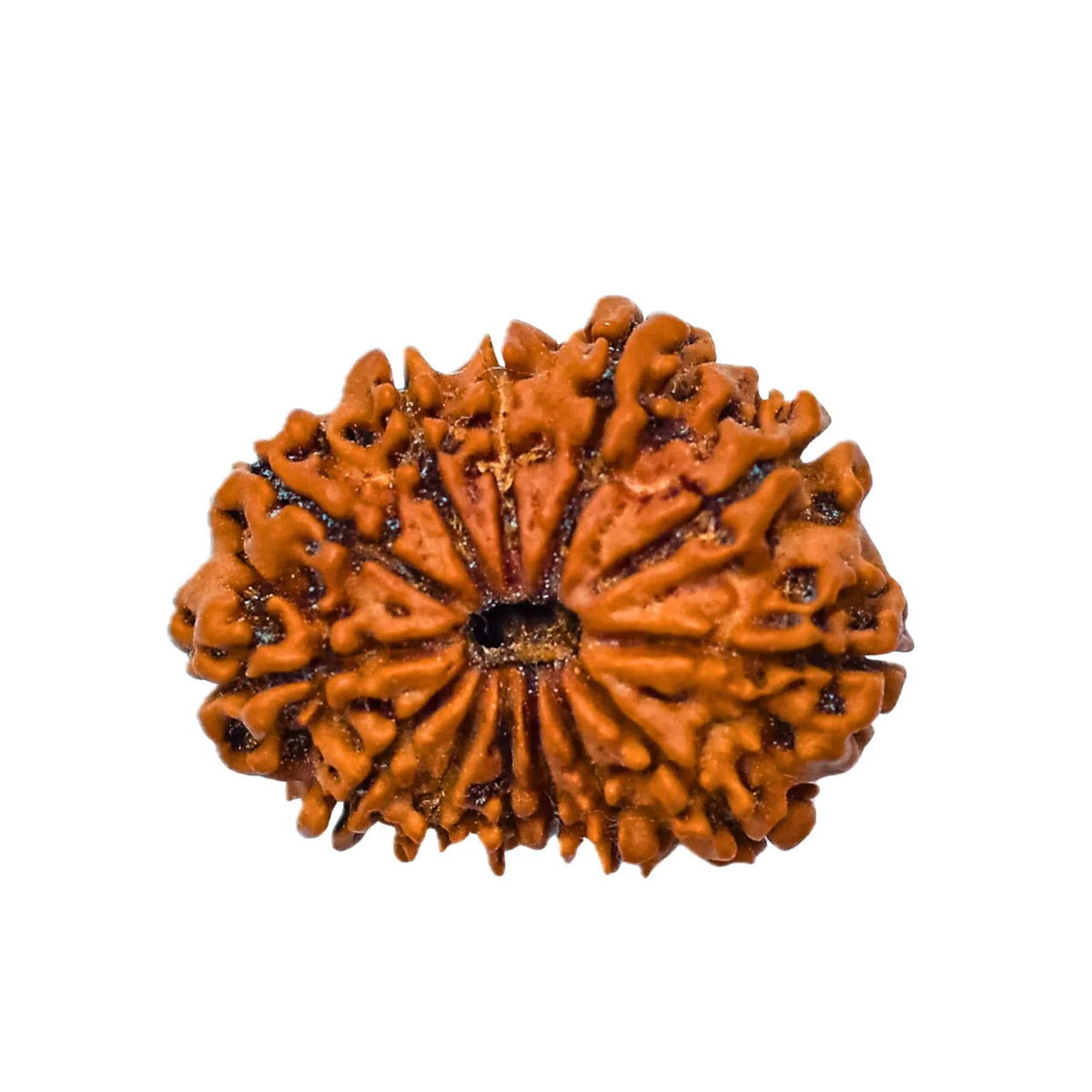 53-scaled-1.jpg