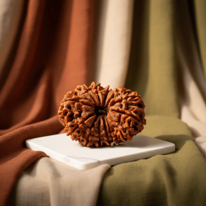 13-Mukhi-Rudraksha-–-Rare-and-Authentic-Bead-for-Prosperity-and-Attraction-edited_4.png