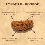 1 mukhi rudraksha benefits