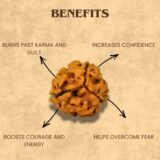 buy 3 Mukhi Rudraksha Benefits