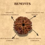 4 Mukhi Rudraksha Benefits