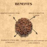 8 Mukhi Rudraksha Benefits