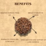 8 Mukhi Rudraksha Benefits