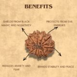 10 Mukhi Rudraksha Benefits