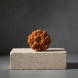 Buy 8 Mukhi Rudraksha - Rudraksh Creations