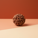 Buy 9 Mukhi Rudraksha - Rudraksh Creations