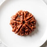 5 Mukhi Rudraksha (Nepali)