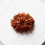 10 Mukhi Rudraksha (Nepali)