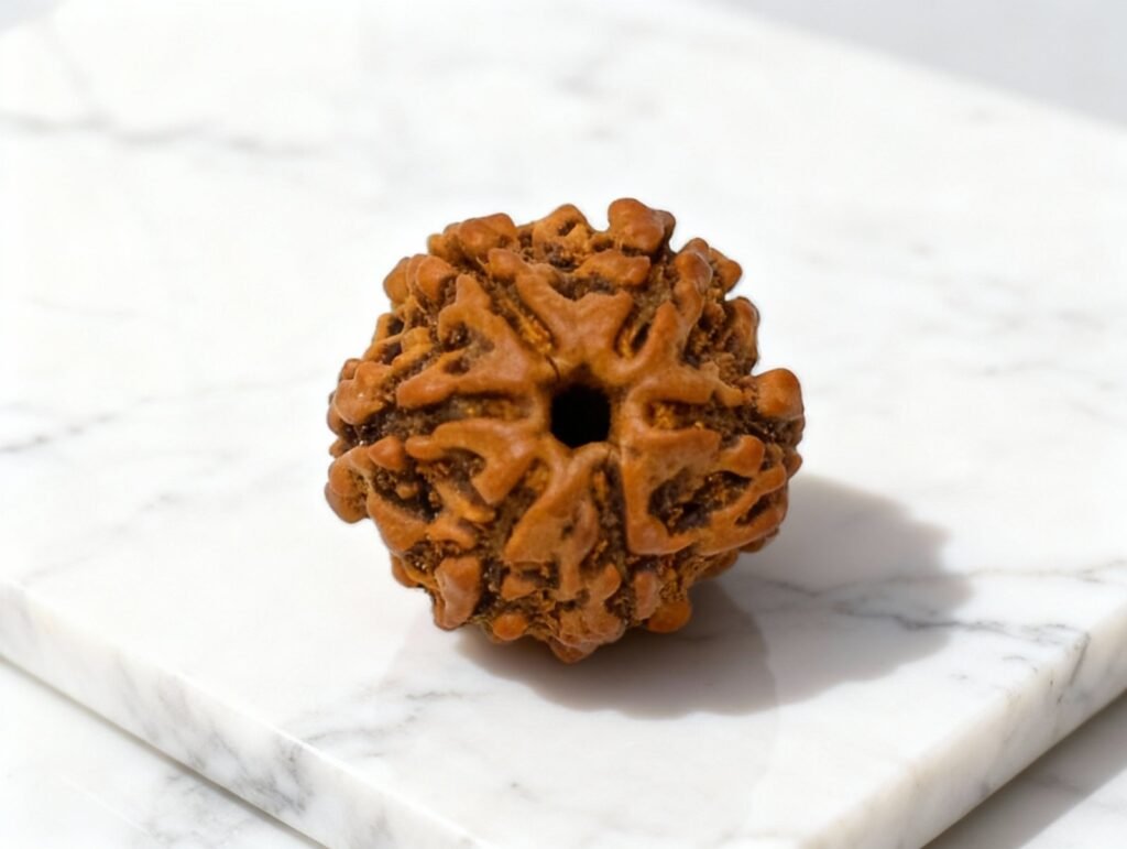 Original 6 Mukhi Rudraksha Price & Benefits
