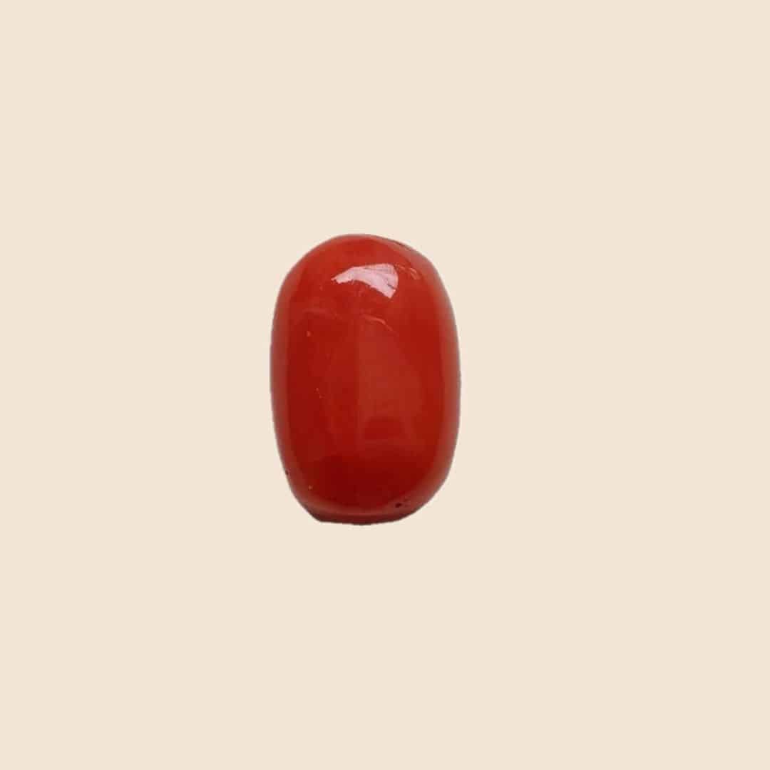 Red Coral (Laal Moonga)