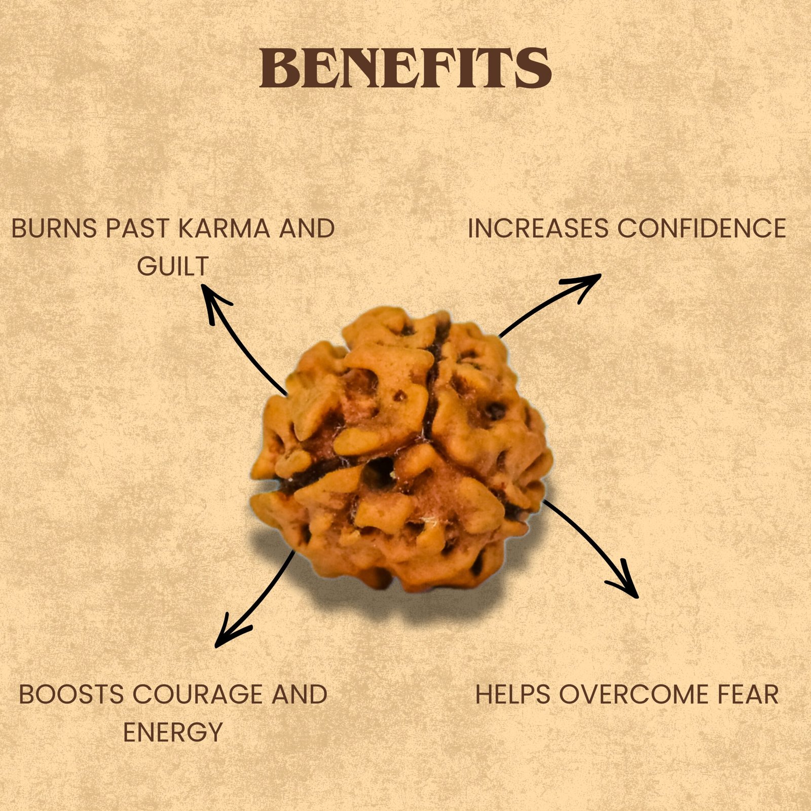 3 Mukhi Rudraksha (Nepali) - Image 6