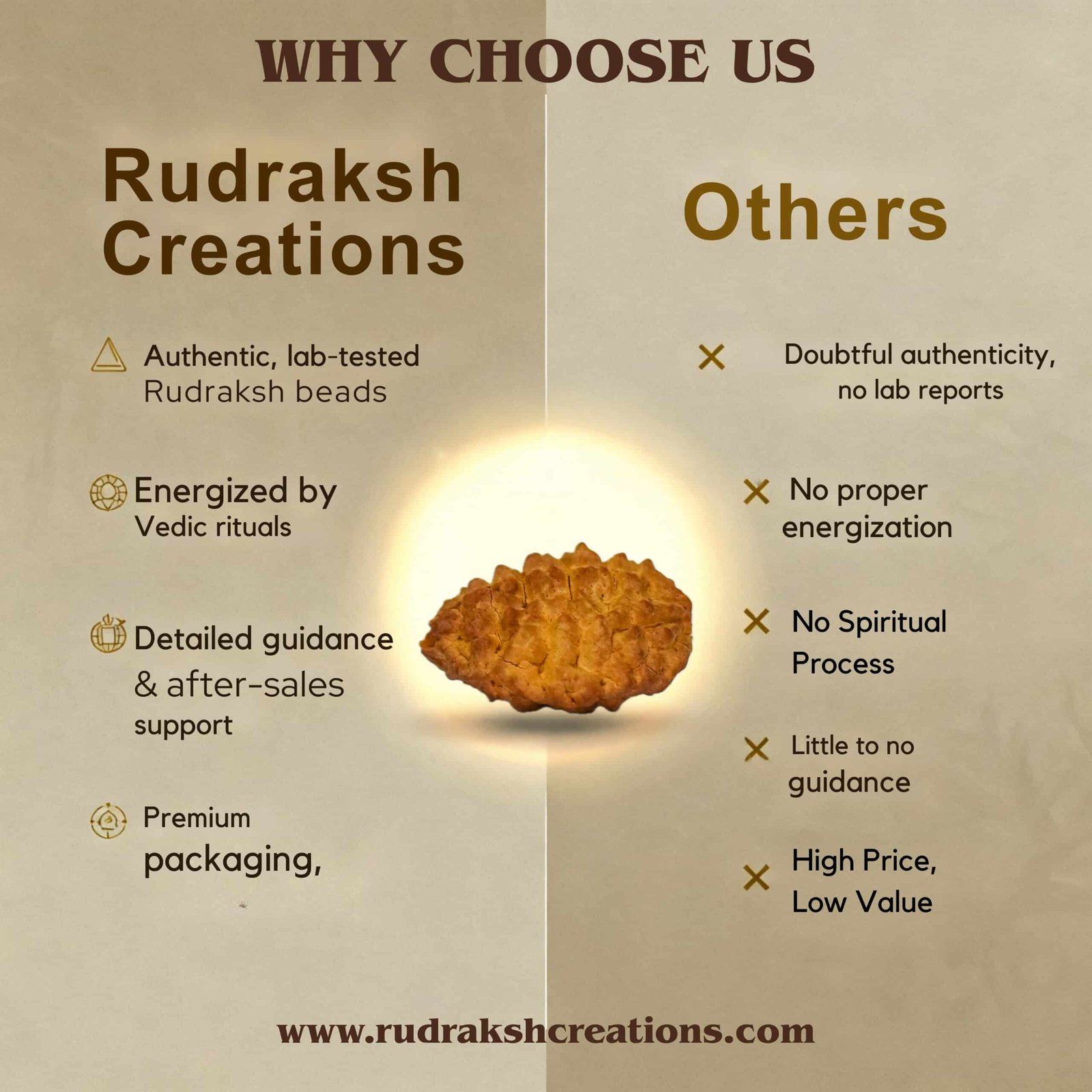 2 Mukhi Rudraksha (Nepali) - Image 6