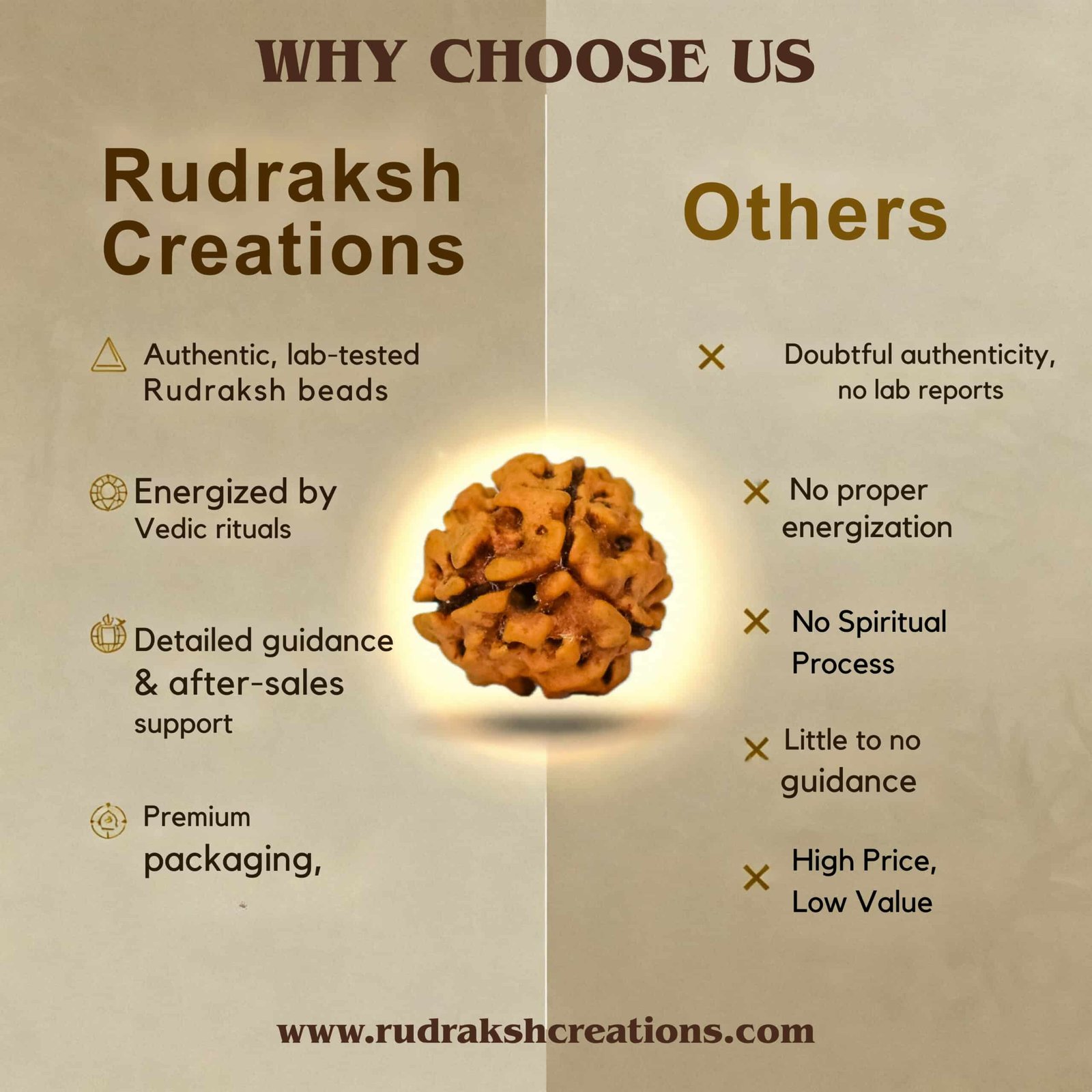 3 Mukhi Rudraksha (Nepali) - Image 7