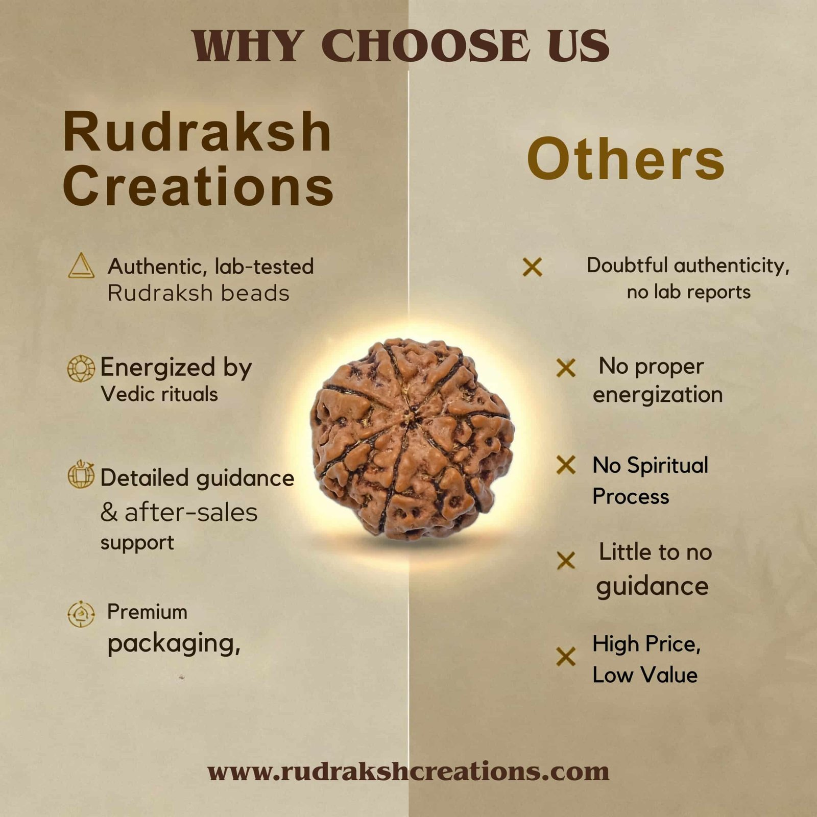 7 Mukhi Rudraksha (Nepali) - Image 6