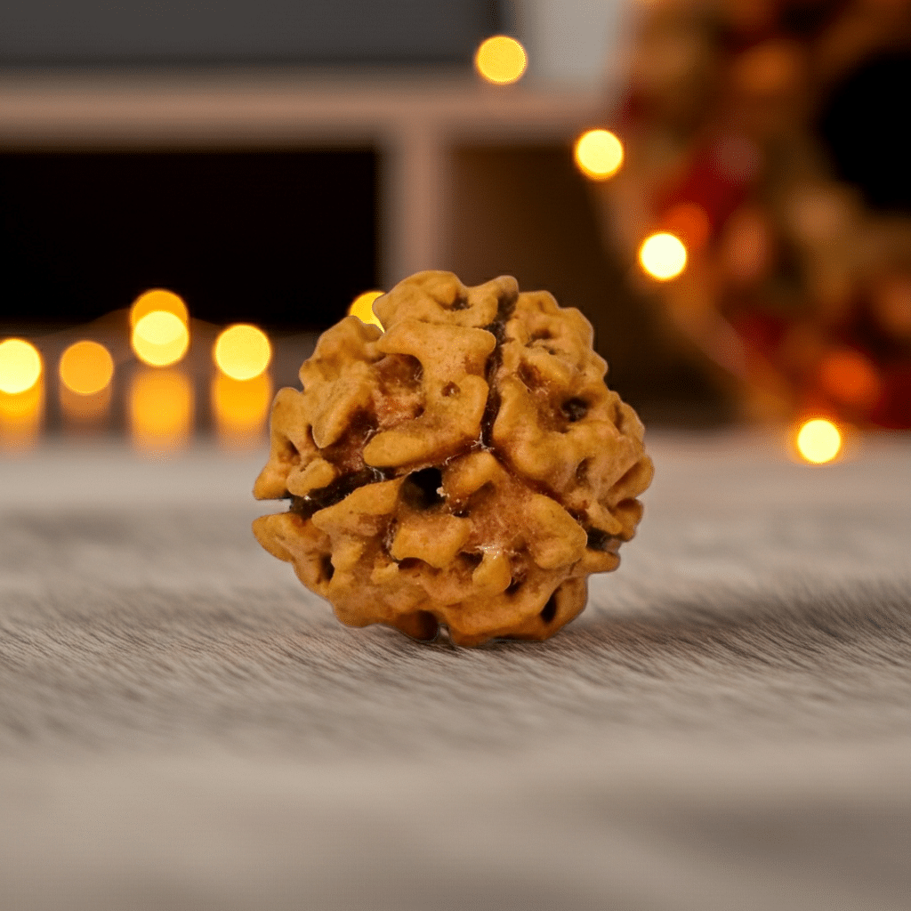 3 Mukhi Rudraksha (Nepali) - Image 2