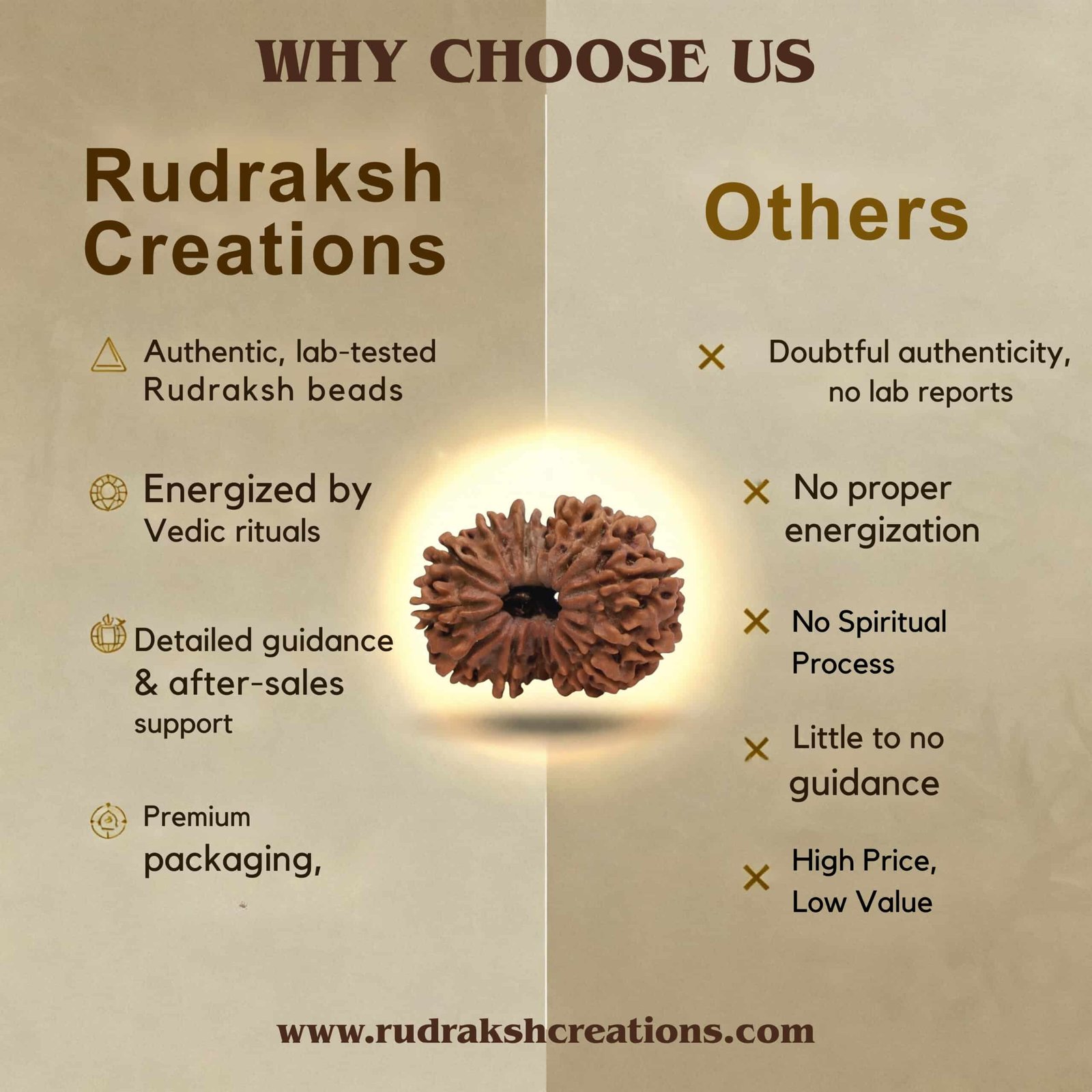 14 Mukhi Rudraksha (Nepali) - Image 7