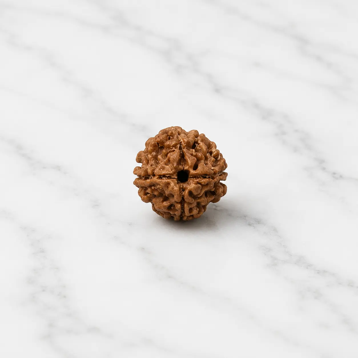 4 Mukhi Rudraksha