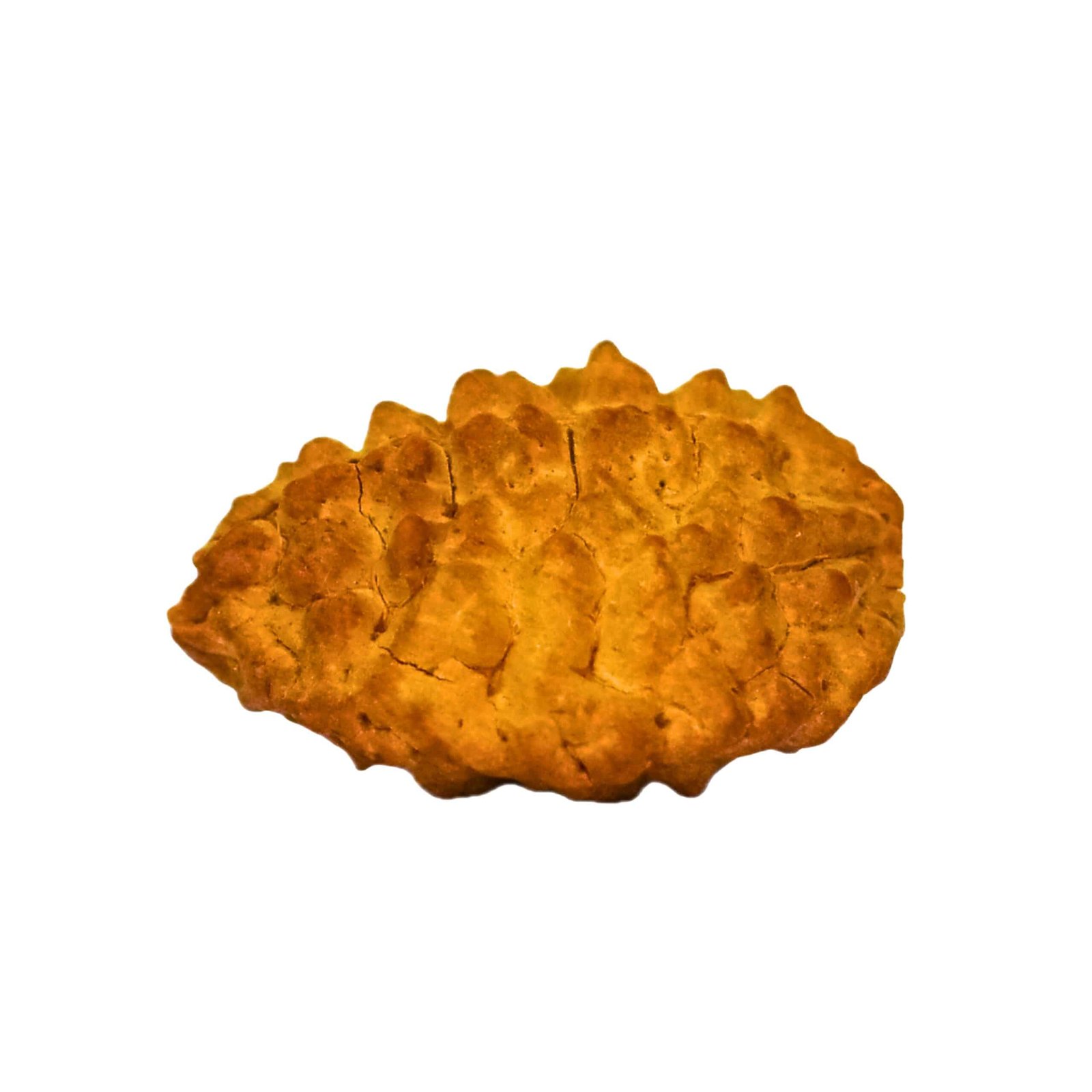 2 Mukhi Rudraksha (Nepali) - Image 7