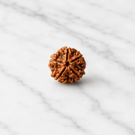 5 Mukhi Rudraksha