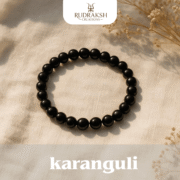 Natural Karungali Bracelet for Protection, Spiritual Energy & Positive Vibes